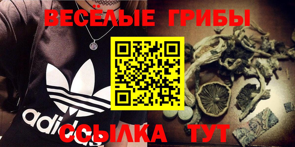 Галлюциногенные грибы MAGIC MUSHROOMS Бердск