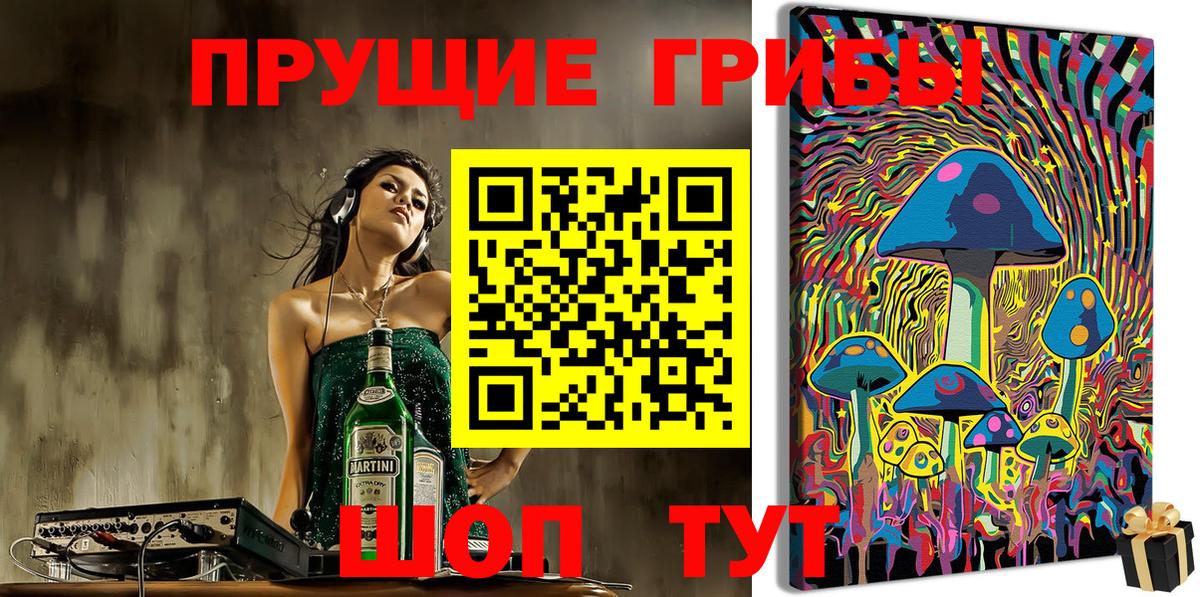 где найти   Псилоцибиновые грибы мухоморы  Бердск  Вход с VPN  Псилоцибиновые грибы Psilocybe 