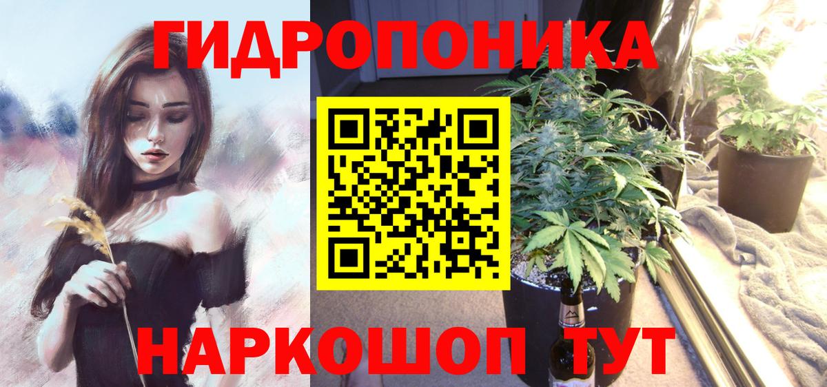 Бошки марихуана Bruce Banner  Бошки Шишки Amnesia  Бердск  Вход с VPN  Конопля планчик 